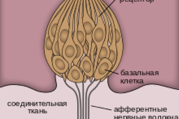 Вывод средств с блэк спрут