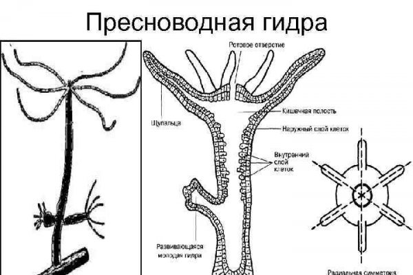 Блэк спрут магазин