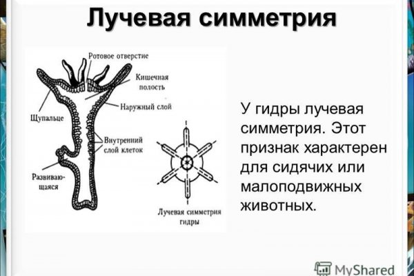 Ссылка блэкспрут 1blacksprut me