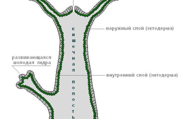 Платформа блэк спрут